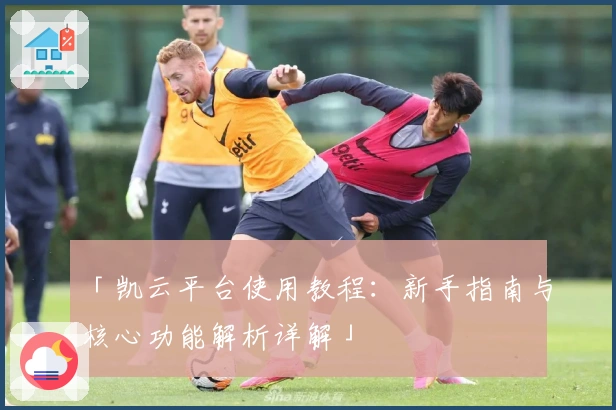 「凯云平台使用教程：新手指南与核心功能解析详解」