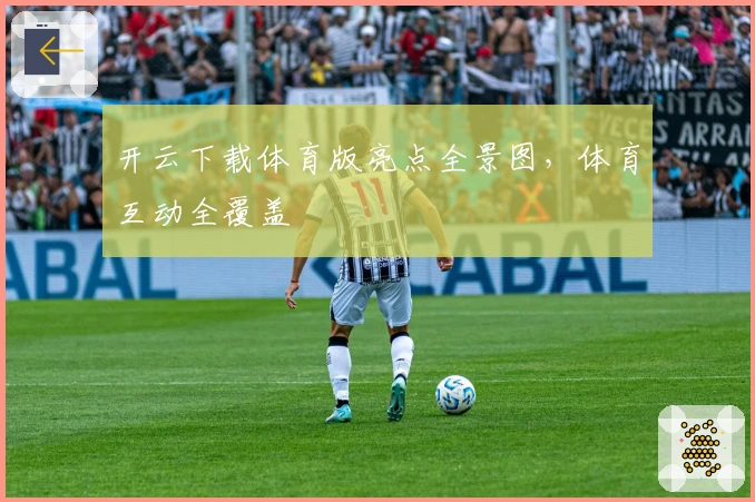 开云下载体育版亮点全景图，体育互动全覆盖