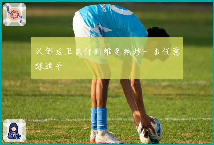 汉堡后卫武什科维奇绝妙一击任意球追平