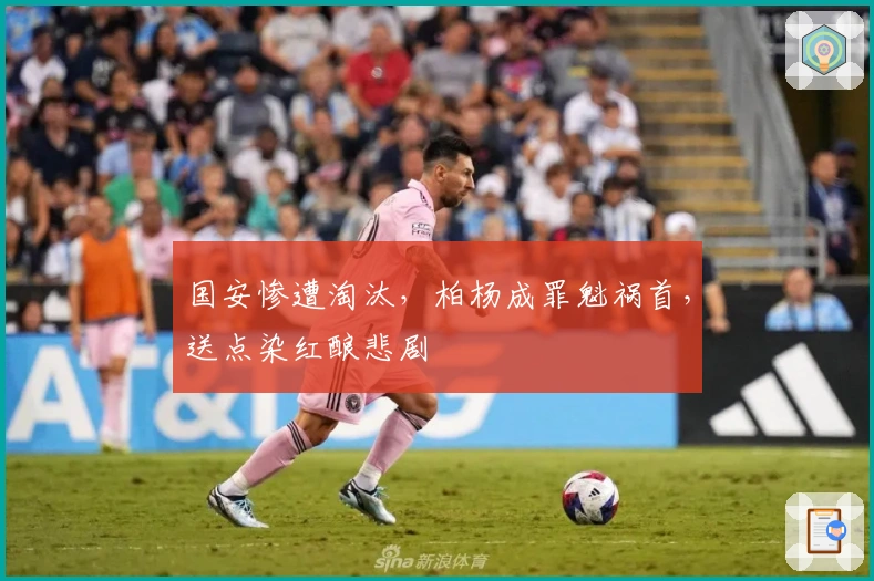 国安惨遭淘汰，柏杨成罪魁祸首，送点染红酿悲剧